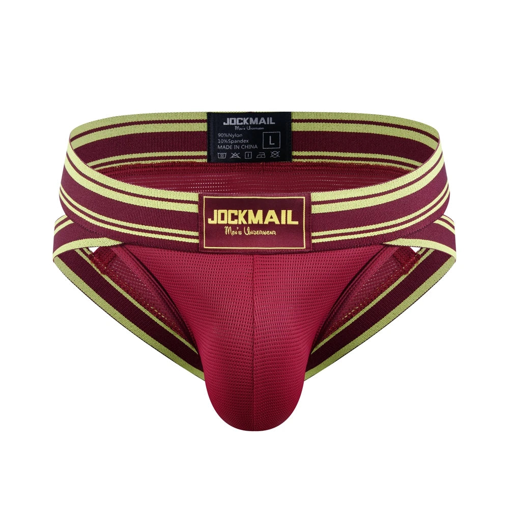 Sexy Underwear Men Briefs Low Waist Mesh Nylon Man&