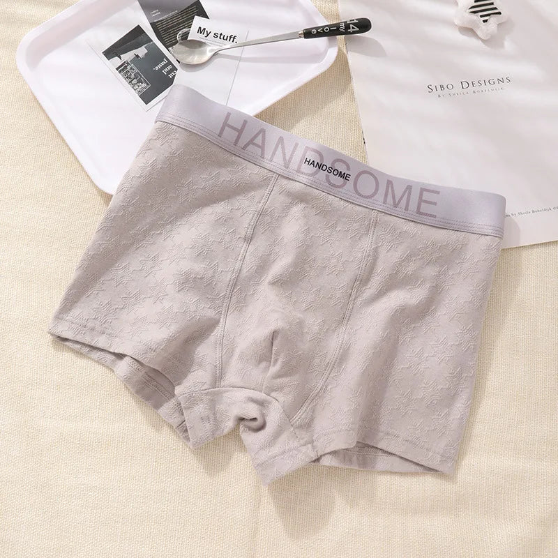 EXILIENS HANDSOME Cotton Boxer Men Underwear Breathable Mens Boxers Cuecas Masculinas BoxerShorts Man Panties Size L-3XL BH005