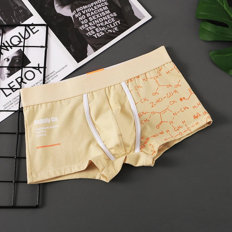 Men Panties Cotton Boxer Shorts Mens Boxers Breathable U Convex Male Underpants