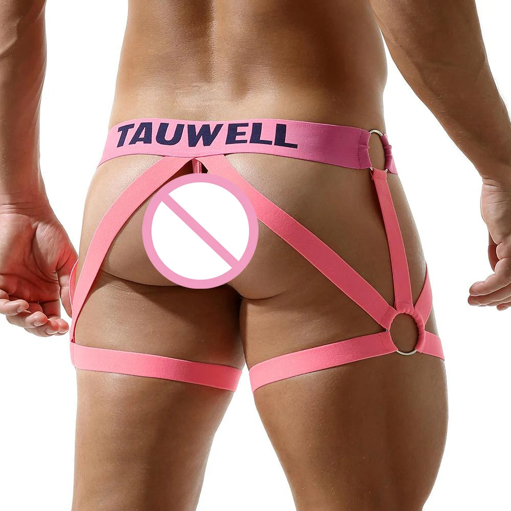 Exotic Gay Panties Penis Pouch T-back Garter Thong G-string Men Underwear Jockstrap Tanga Hombre Lingerie Briefs Bikini Thongs