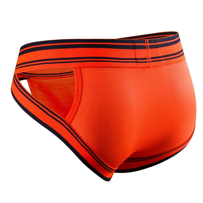 Sexy Underwear Men Briefs Low Waist Mesh Nylon Man&