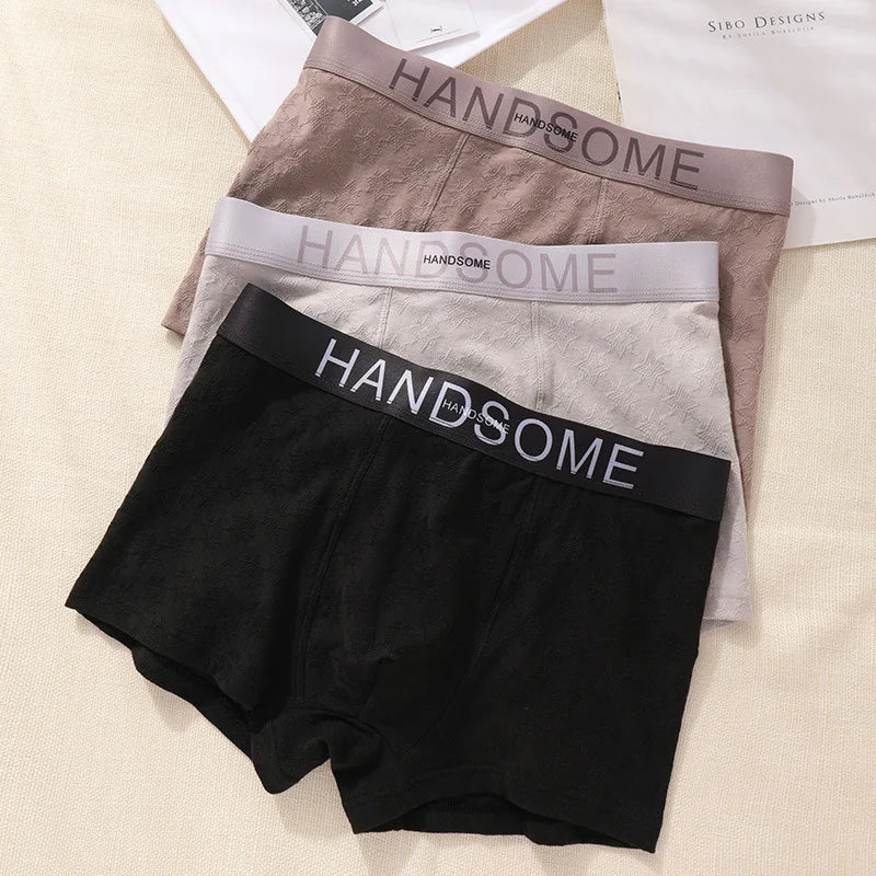 EXILIENS HANDSOME Cotton Boxer Men Underwear Breathable Mens Boxers Cuecas Masculinas BoxerShorts Man Panties Size L-3XL BH005