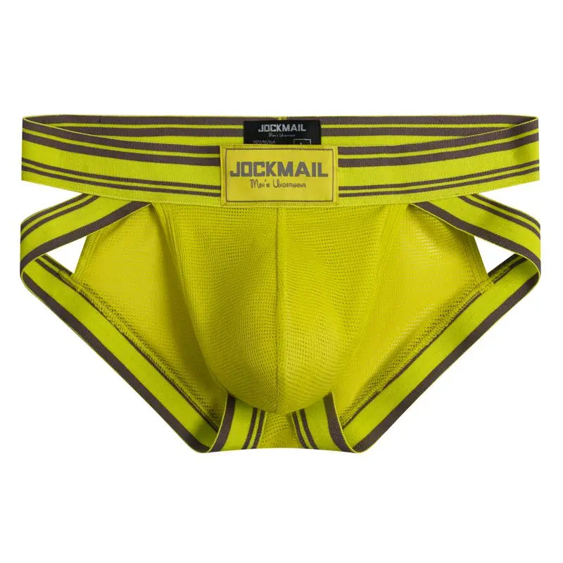 Sexy Underwear Men Briefs Low Waist Mesh Nylon Man&