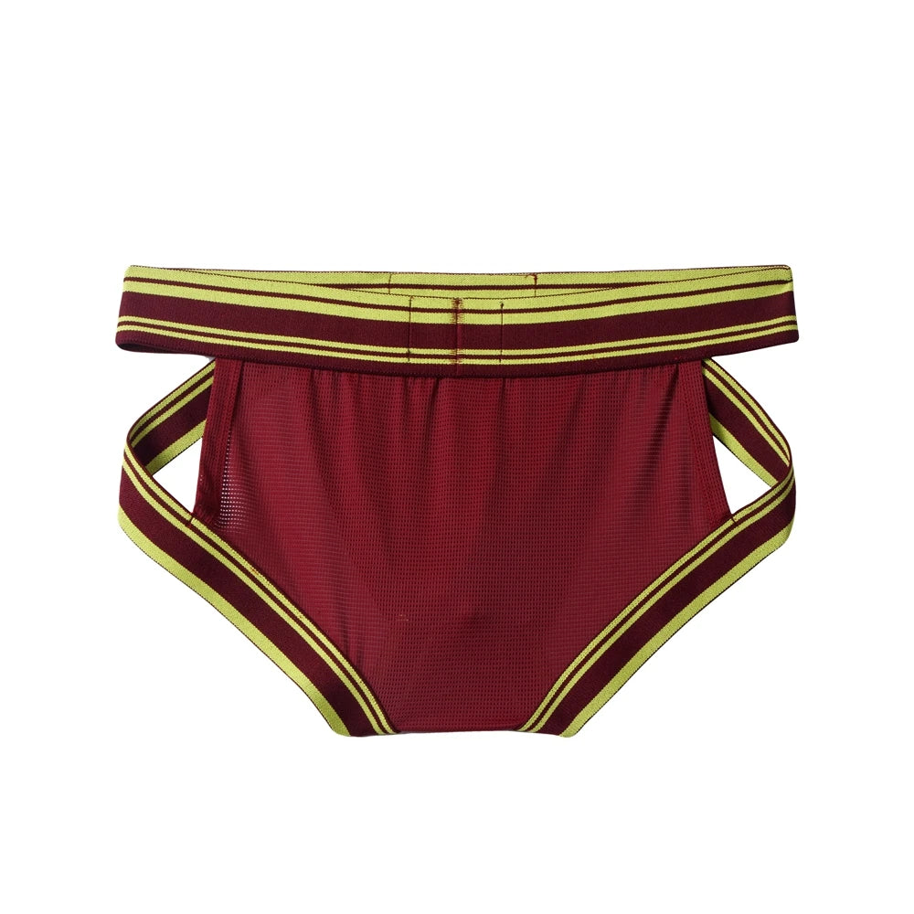 Sexy Underwear Men Briefs Low Waist Mesh Nylon Man&