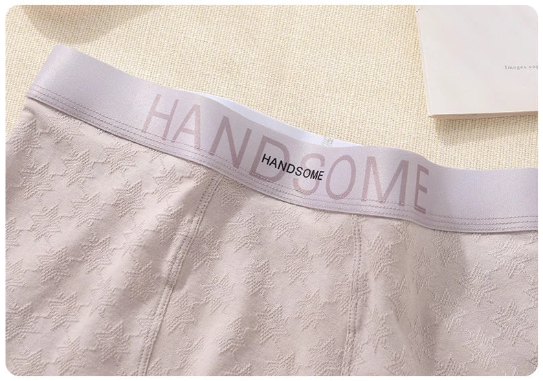 EXILIENS HANDSOME Cotton Boxer Men Underwear Breathable Mens Boxers Cuecas Masculinas BoxerShorts Man Panties Size L-3XL BH005