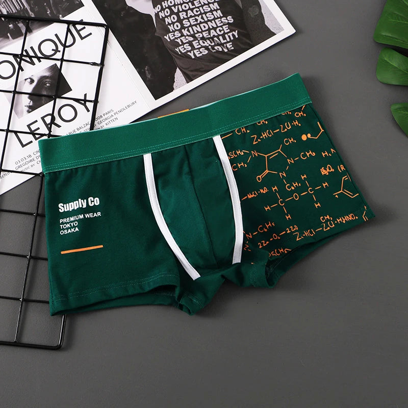 Men Panties Cotton Boxer Shorts Mens Boxers Breathable U Convex Male Underpants