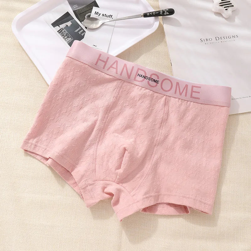 EXILIENS HANDSOME Cotton Boxer Men Underwear Breathable Mens Boxers Cuecas Masculinas BoxerShorts Man Panties Size L-3XL BH005