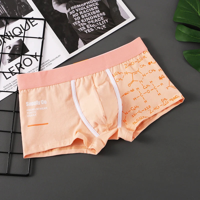 Men Panties Cotton Boxer Shorts Mens Boxers Breathable U Convex Male Underpants