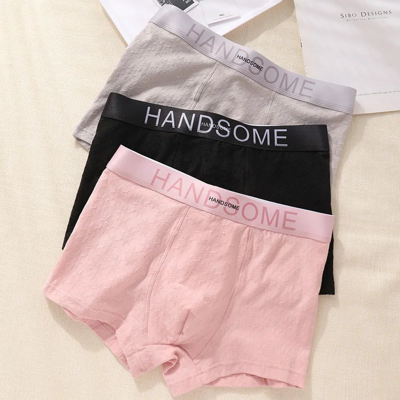 EXILIENS HANDSOME Cotton Boxer Men Underwear Breathable Mens Boxers Cuecas Masculinas BoxerShorts Man Panties Size L-3XL BH005