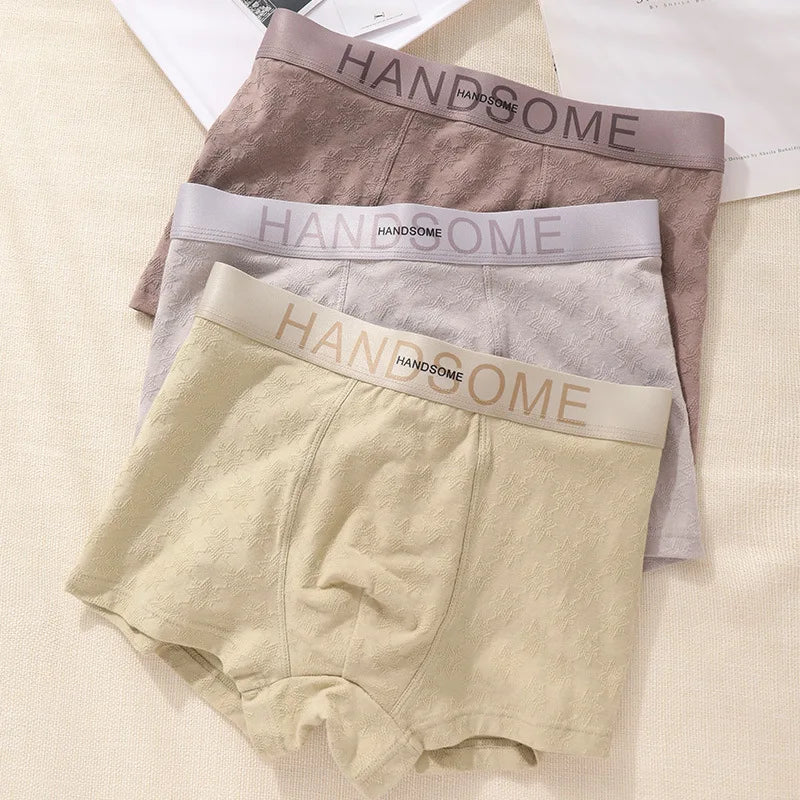 EXILIENS HANDSOME Cotton Boxer Men Underwear Breathable Mens Boxers Cuecas Masculinas BoxerShorts Man Panties Size L-3XL BH005