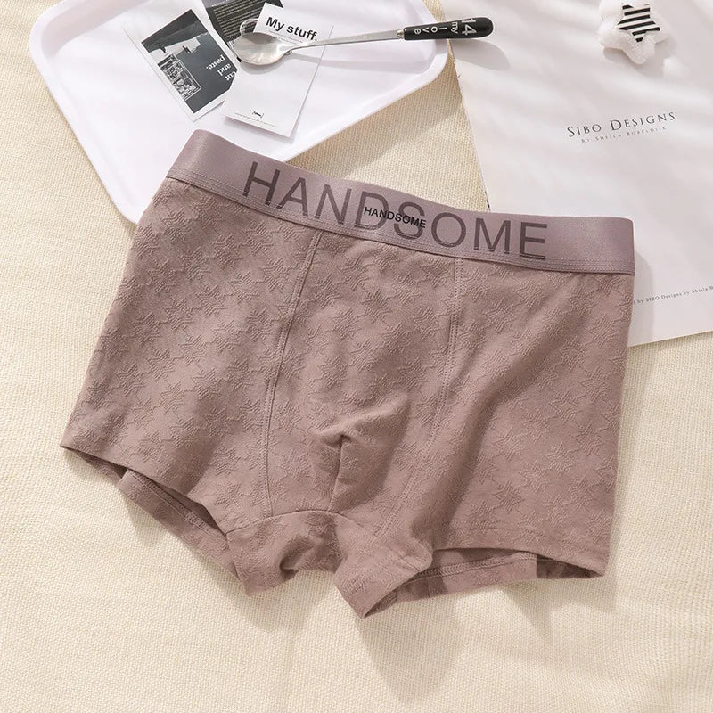 EXILIENS HANDSOME Cotton Boxer Men Underwear Breathable Mens Boxers Cuecas Masculinas BoxerShorts Man Panties Size L-3XL BH005