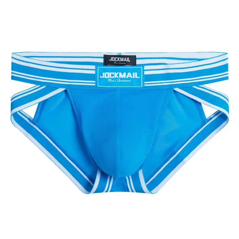 Sexy Underwear Men Briefs Low Waist Mesh Nylon Man&