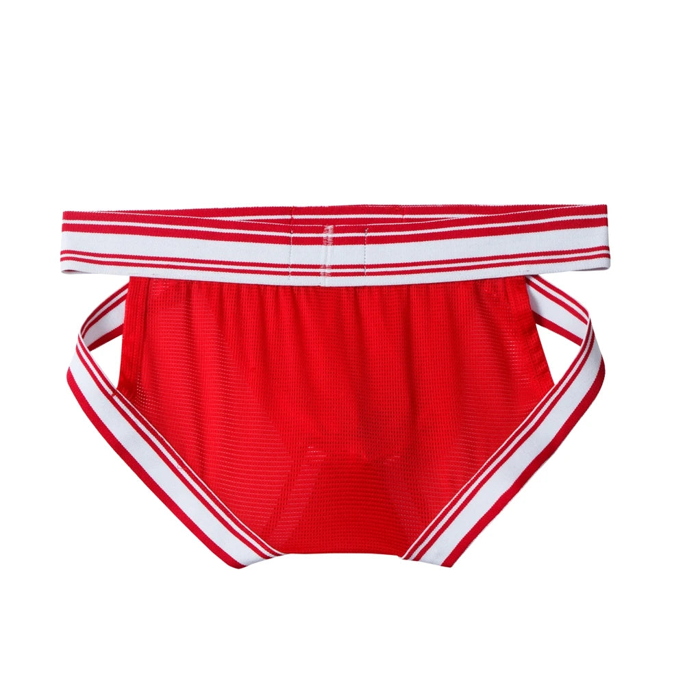 Sexy Underwear Men Briefs Low Waist Mesh Nylon Man&