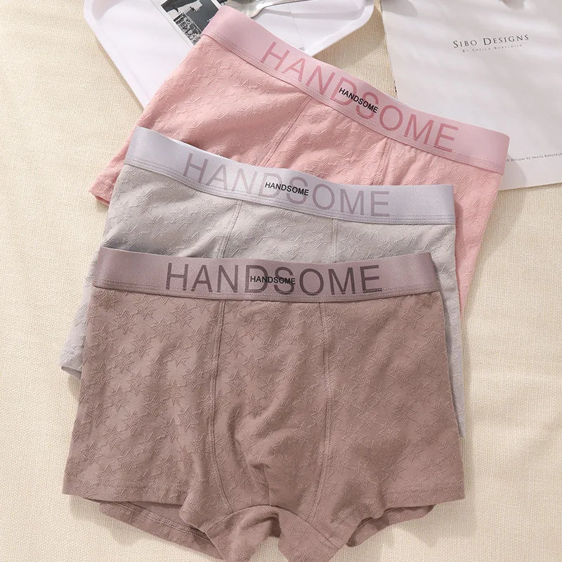 EXILIENS HANDSOME Cotton Boxer Men Underwear Breathable Mens Boxers Cuecas Masculinas BoxerShorts Man Panties Size L-3XL BH005