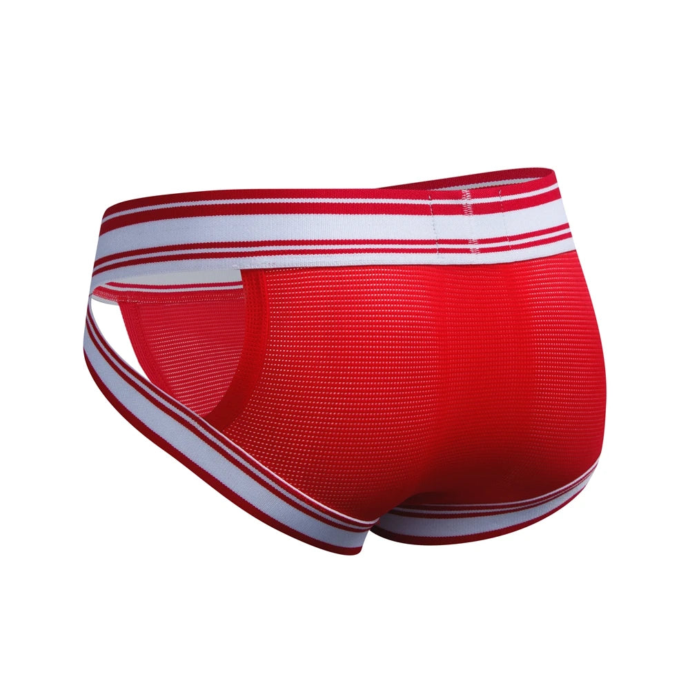 Sexy Underwear Men Briefs Low Waist Mesh Nylon Man&