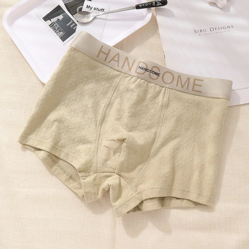 EXILIENS HANDSOME Cotton Boxer Men Underwear Breathable Mens Boxers Cuecas Masculinas BoxerShorts Man Panties Size L-3XL BH005