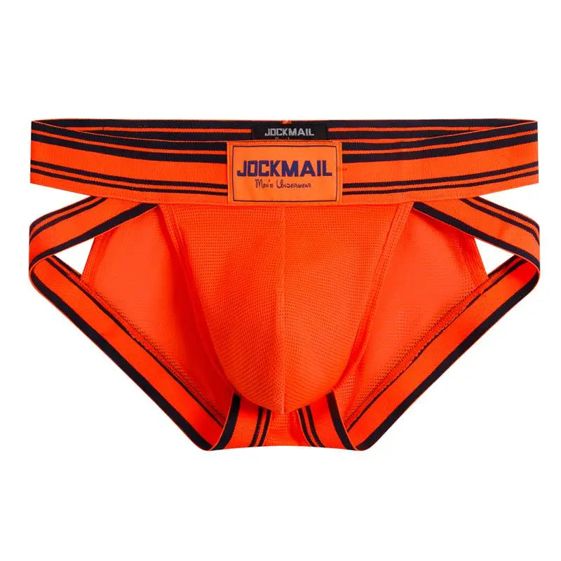 Sexy Underwear Men Briefs Low Waist Mesh Nylon Man&