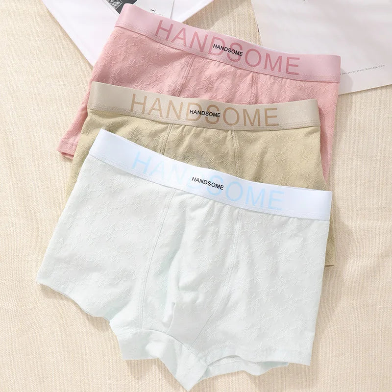 EXILIENS HANDSOME Cotton Boxer Men Underwear Breathable Mens Boxers Cuecas Masculinas BoxerShorts Man Panties Size L-3XL BH005