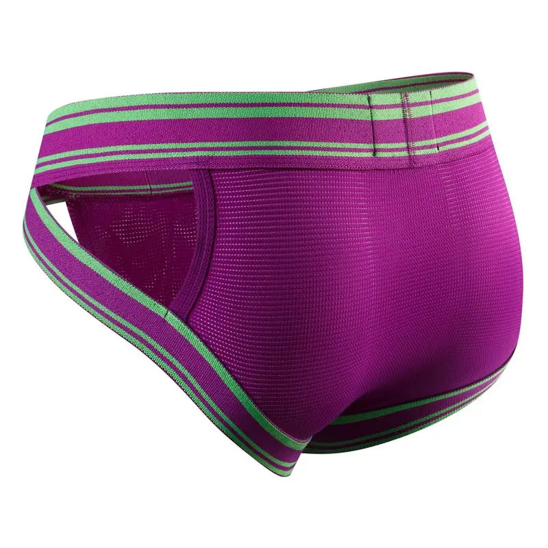 Sexy Underwear Men Briefs Low Waist Mesh Nylon Man&