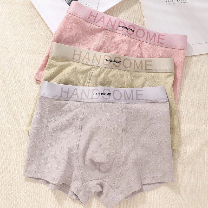 EXILIENS HANDSOME Cotton Boxer Men Underwear Breathable Mens Boxers Cuecas Masculinas BoxerShorts Man Panties Size L-3XL BH005
