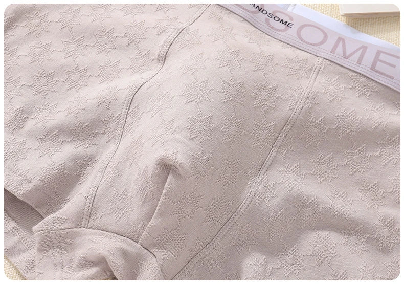 EXILIENS HANDSOME Cotton Boxer Men Underwear Breathable Mens Boxers Cuecas Masculinas BoxerShorts Man Panties Size L-3XL BH005