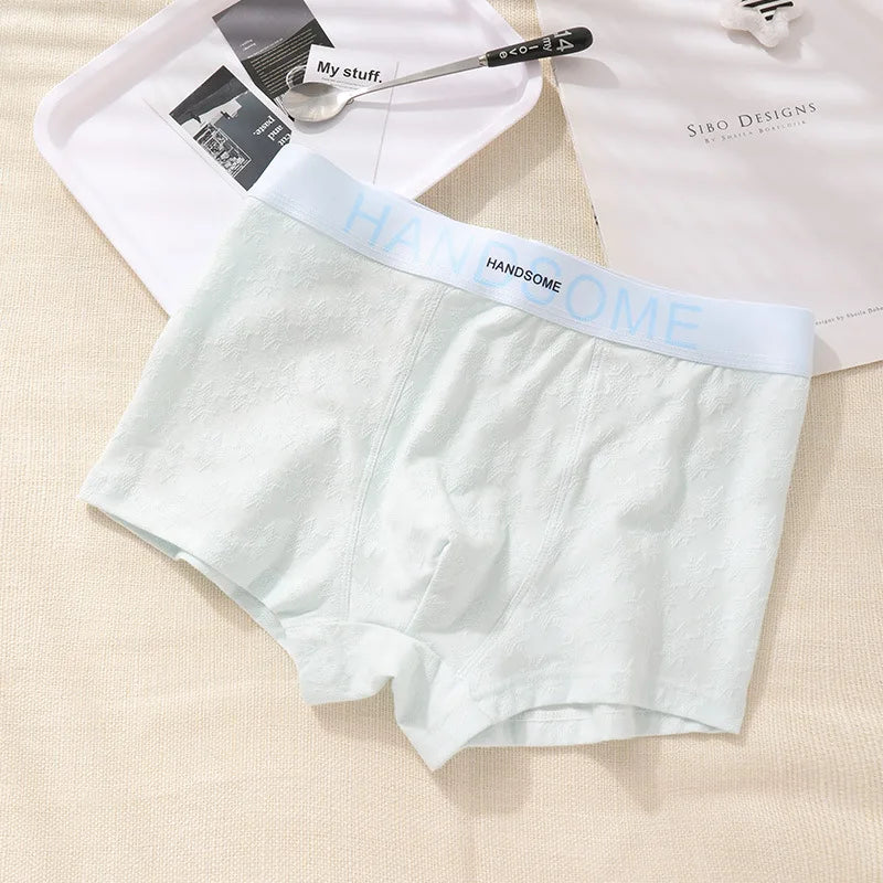 EXILIENS HANDSOME Cotton Boxer Men Underwear Breathable Mens Boxers Cuecas Masculinas BoxerShorts Man Panties Size L-3XL BH005