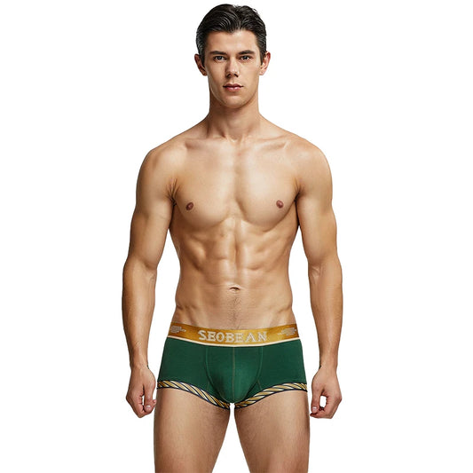 New Boxer Shorts Men Underwear Underpants Sexy boxer cotton solid Hipster summer Male underwear