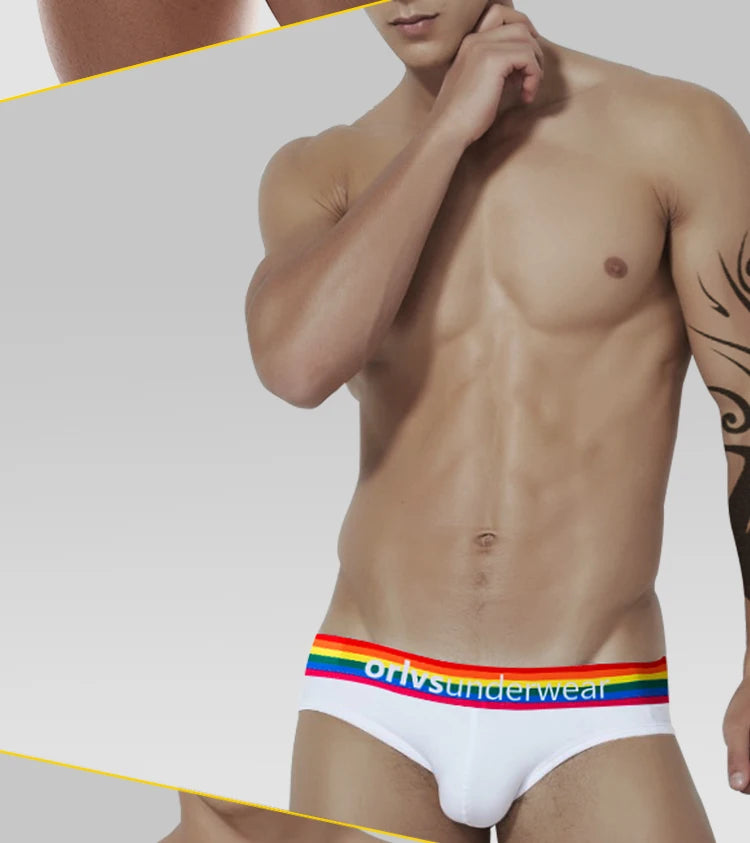 Men's Cotton Rainbow Briefs