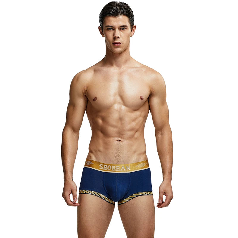 New Boxer Shorts Men Underwear Underpants Sexy boxer cotton solid Hipster summer Male underwear