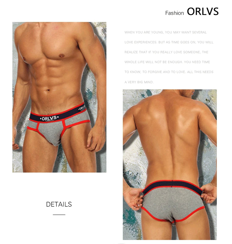 ORLVS men's underwear cotton breathable low waist sexy hip briefs men's underwear a generation OR145