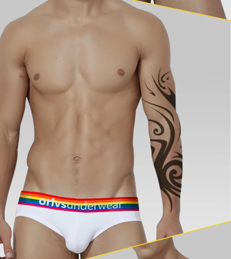 Men's Cotton Rainbow Briefs