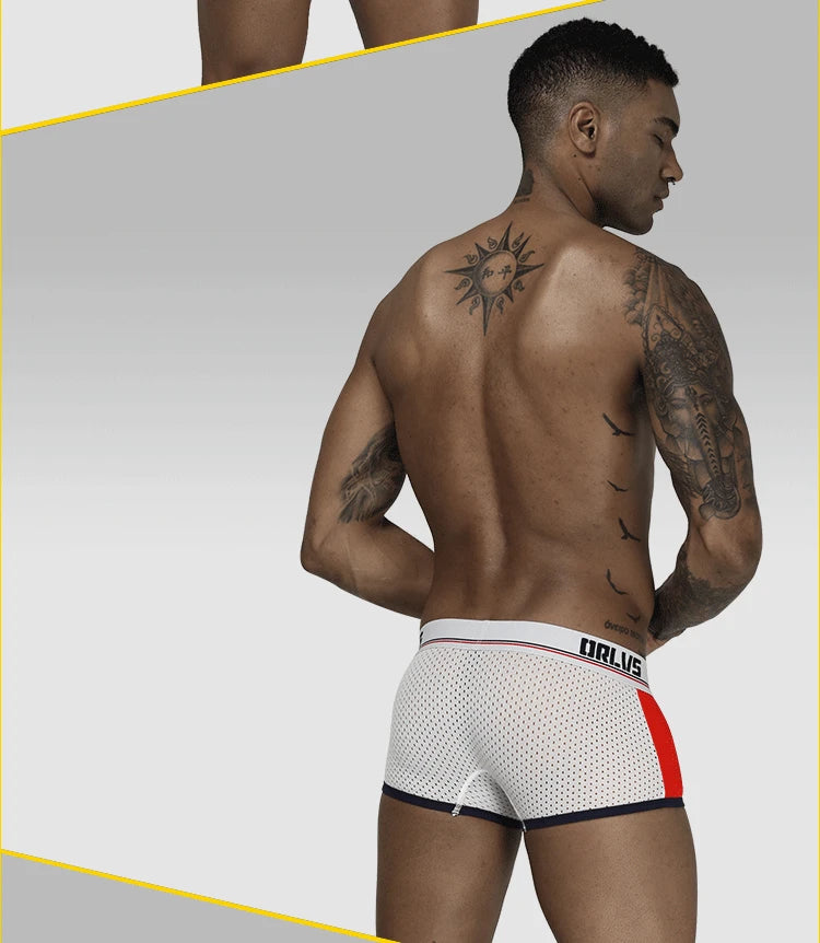 ORLVS men's panties, mesh mesh breathable boxers, U convex bags, boxers, men's OR193