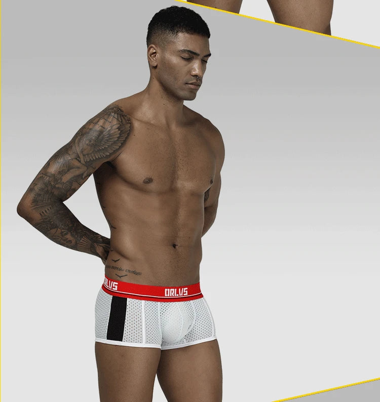 ORLVS men's panties, mesh mesh breathable boxers, U convex bags, boxers, men's OR193