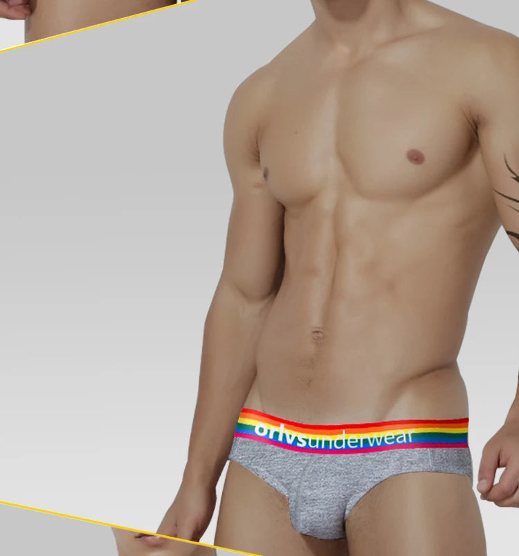 Men's Cotton Rainbow Briefs