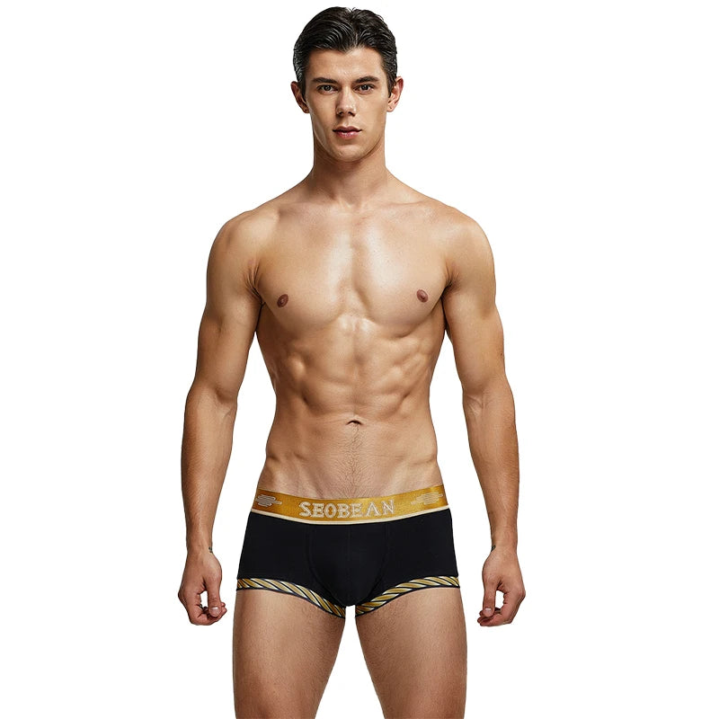 New Boxer Shorts Men Underwear Underpants Sexy boxer cotton solid Hipster summer Male underwear