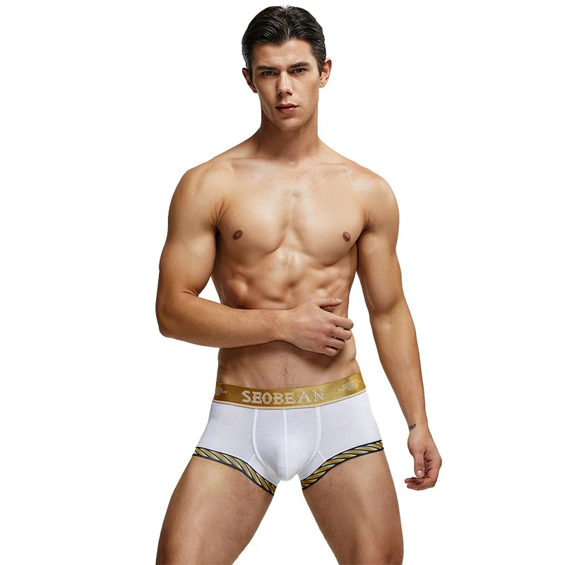 New Boxer Shorts Men Underwear Underpants Sexy boxer cotton solid Hipster summer Male underwear