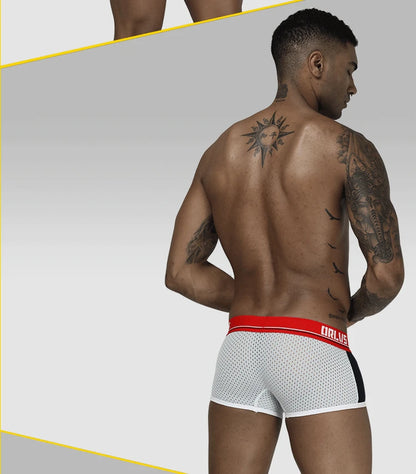 ORLVS men's panties, mesh mesh breathable boxers, U convex bags, boxers, men's OR193