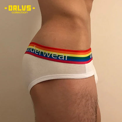 Men's Cotton Rainbow Briefs