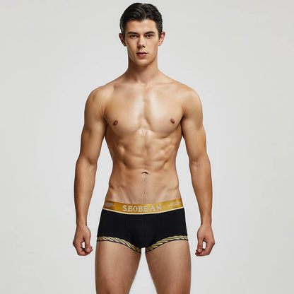 New Boxer Shorts Men Underwear Underpants Sexy boxer cotton solid Hipster summer Male underwear