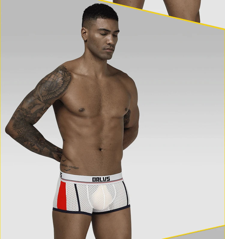 ORLVS men's panties, mesh mesh breathable boxers, U convex bags, boxers, men's OR193