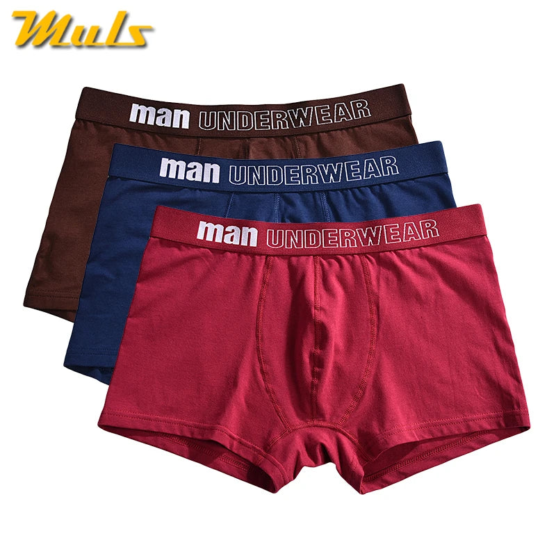 High Quality Men Boxers Short Boy 3PCS/Set Combed Cotton Breathable Male Underwear Mens Bodysuit Underpants S-3XL Vetement Homme