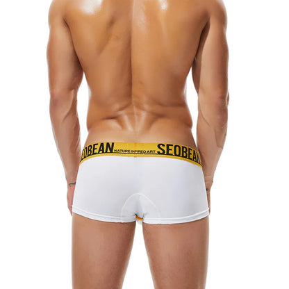 SEOBEAN Colorful Lucky Men's Boxer Briefs Mesh Breathable Underpants Sexy Men Underwear Boxershorts Male Panties