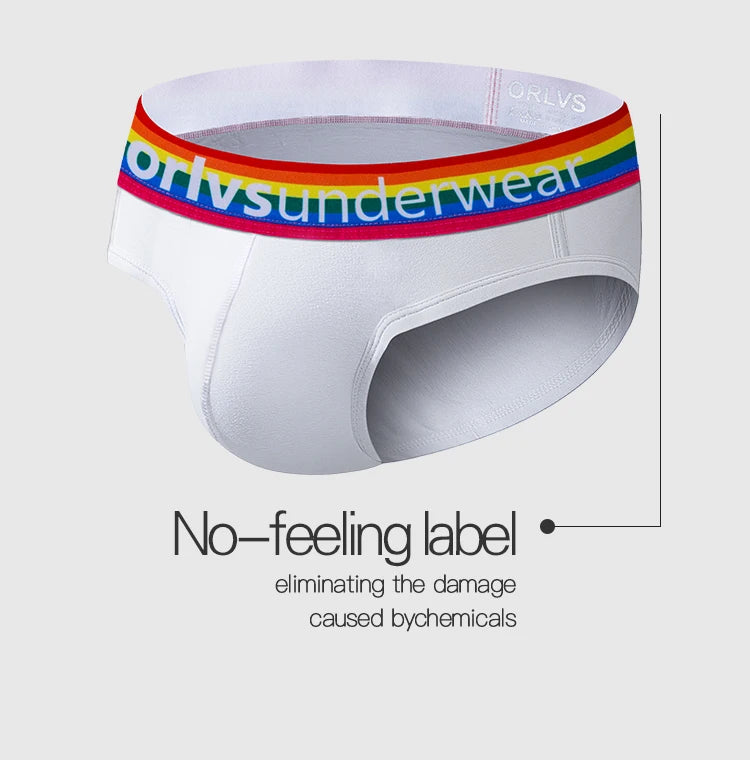 Men's Cotton Rainbow Briefs