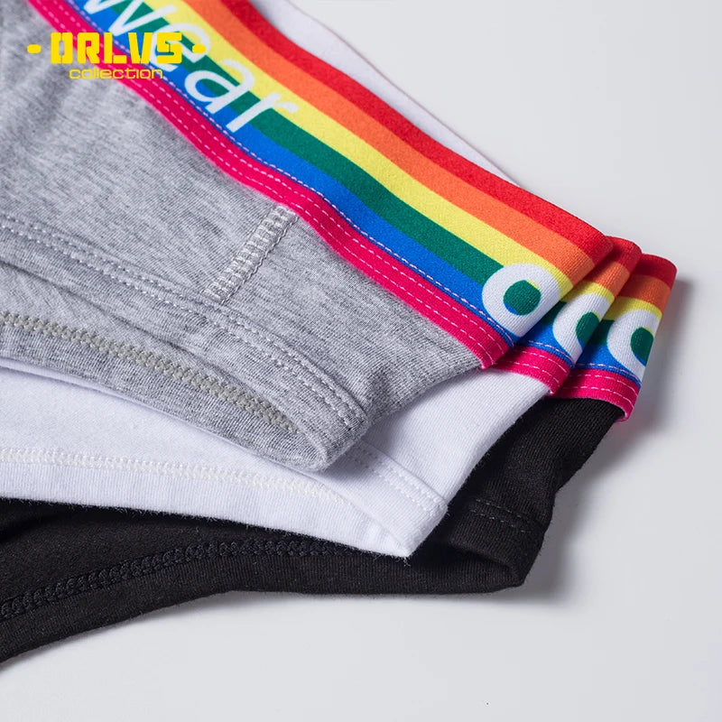 Men's Cotton Rainbow Briefs