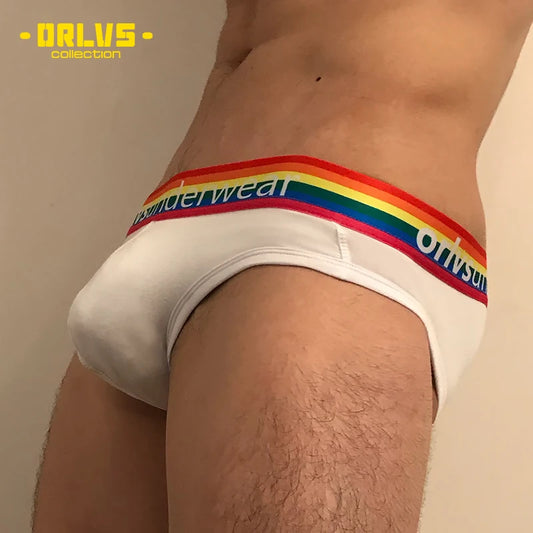 Men's Cotton Rainbow Briefs