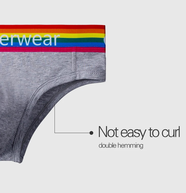 Men's Cotton Rainbow Briefs