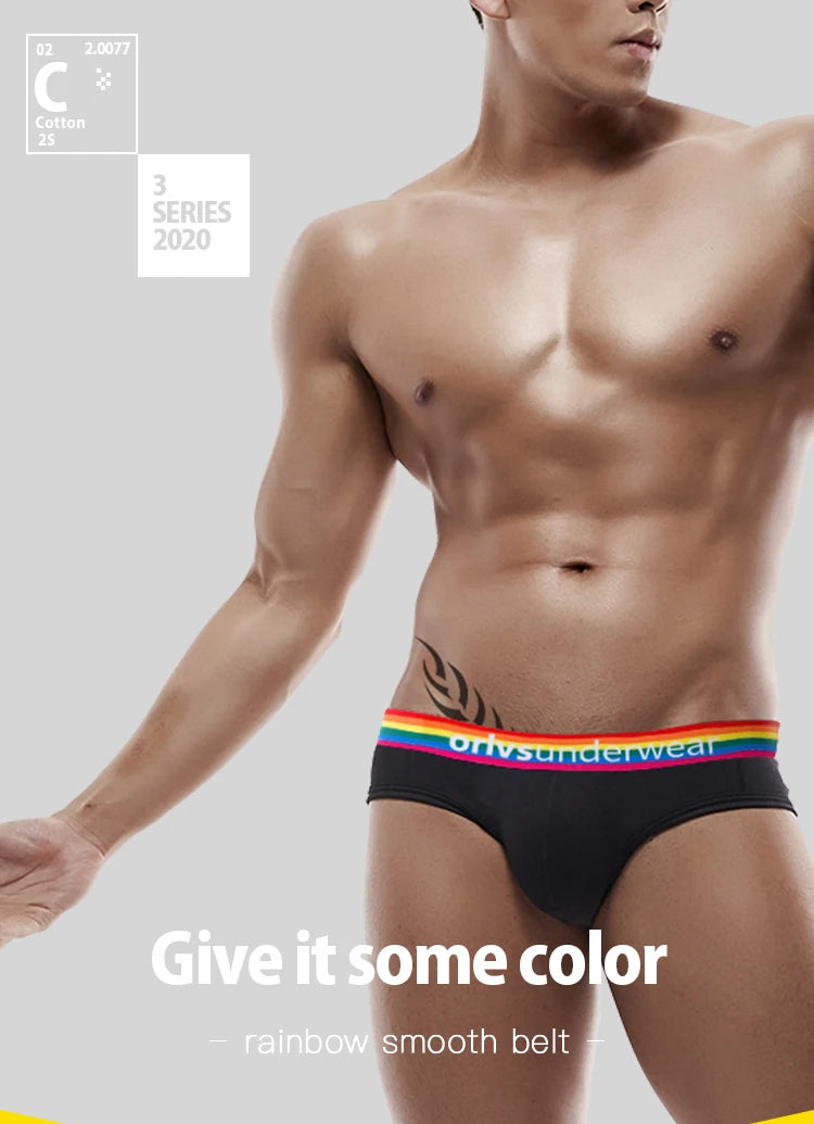 Men's Cotton Rainbow Briefs