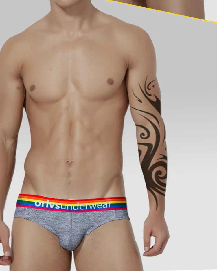 Men's Cotton Rainbow Briefs