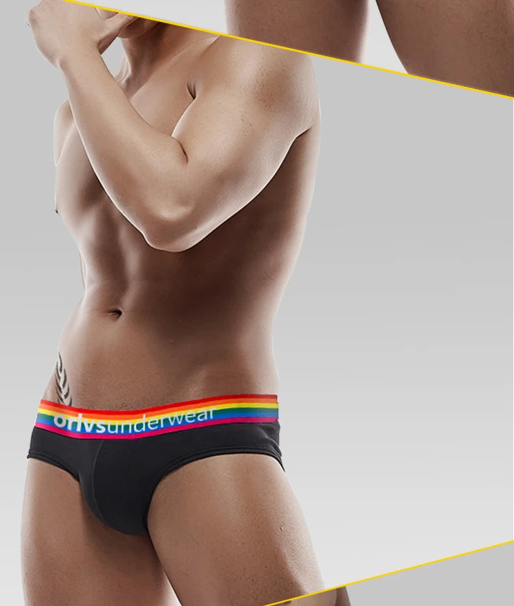 Men's Cotton Rainbow Briefs