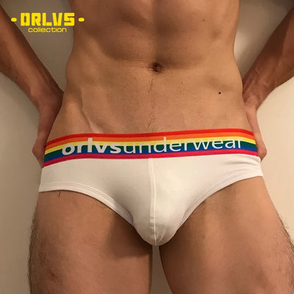 Men's Cotton Rainbow Briefs